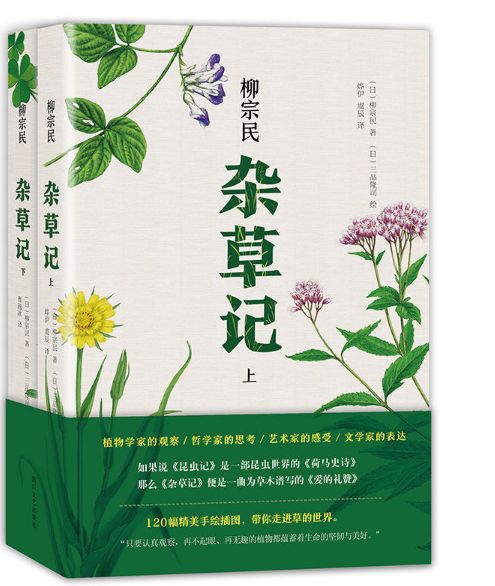 杂草记