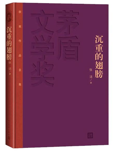 沉重的翅膀