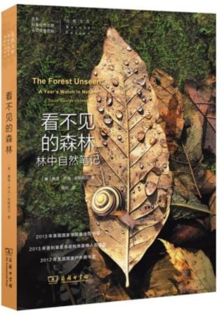 看不见的森林