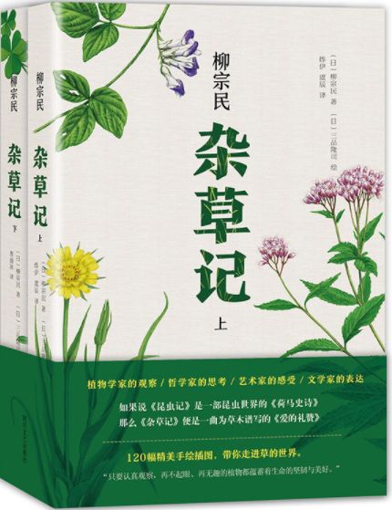 杂草记