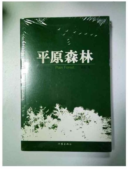 平原森林