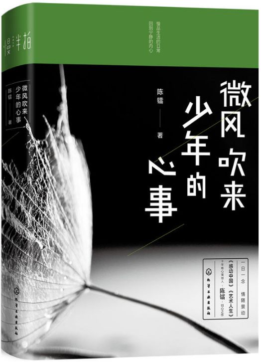 微风吹来少年的心事