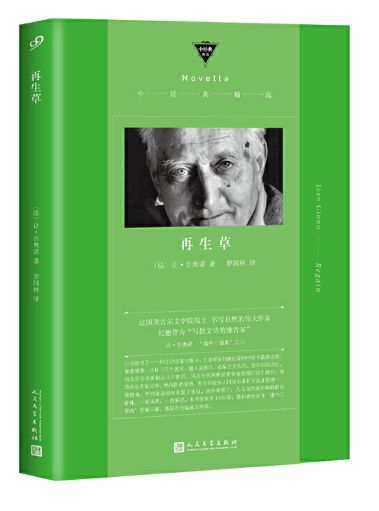 再生草