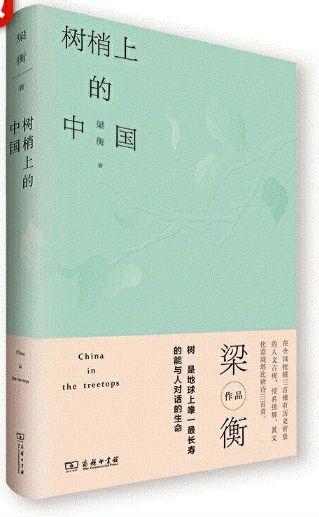 树梢上的中国