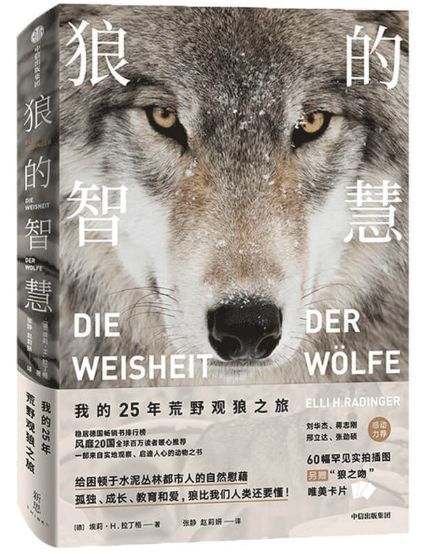 狼的智慧