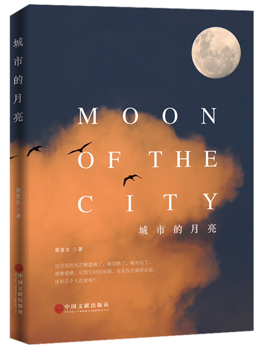城市的月亮